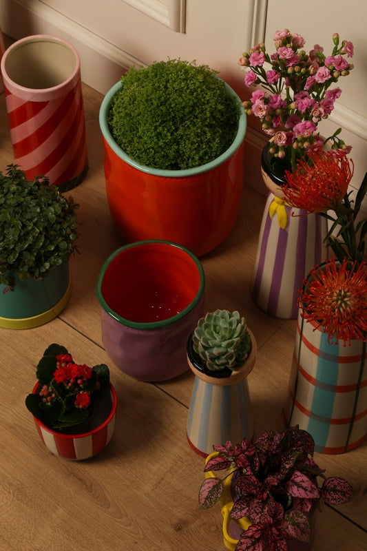 Eja Ceramics