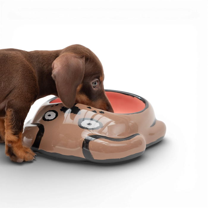 Jean Jullien Bowl 'DOG'