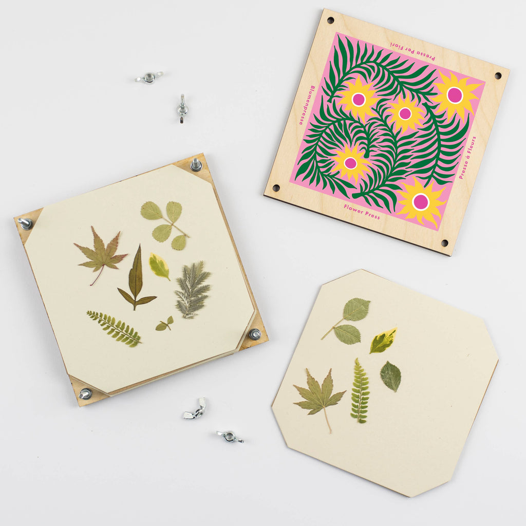 Geperste bloemen en blaadjes met de Kaardebol bloemenpers van Studio Wald