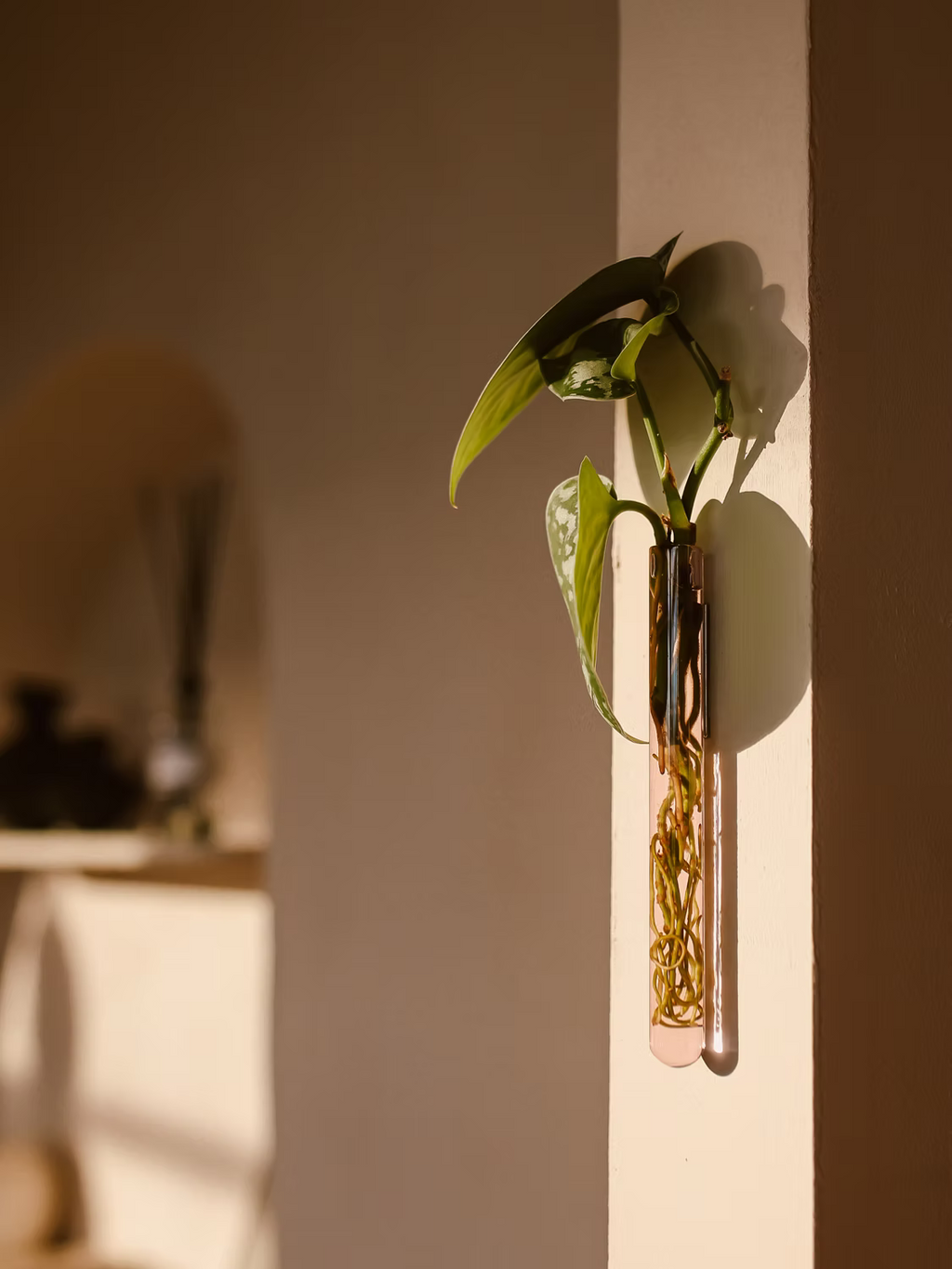 Walleaf Small — Magnetische muurvaasje voor stekjes of bloemen