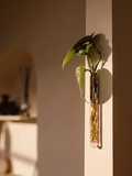 Walleaf Small — Magnetische muurvaasje voor stekjes of bloemen