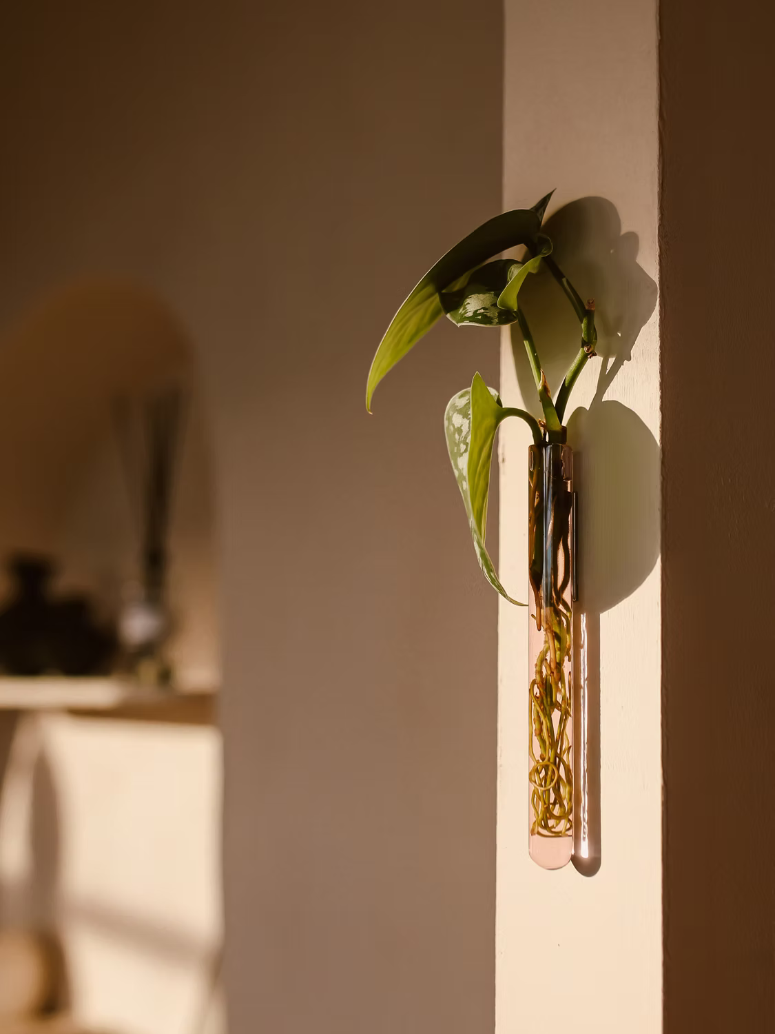 Walleaf Small — Magnetische muurvaasje voor stekjes of bloemen