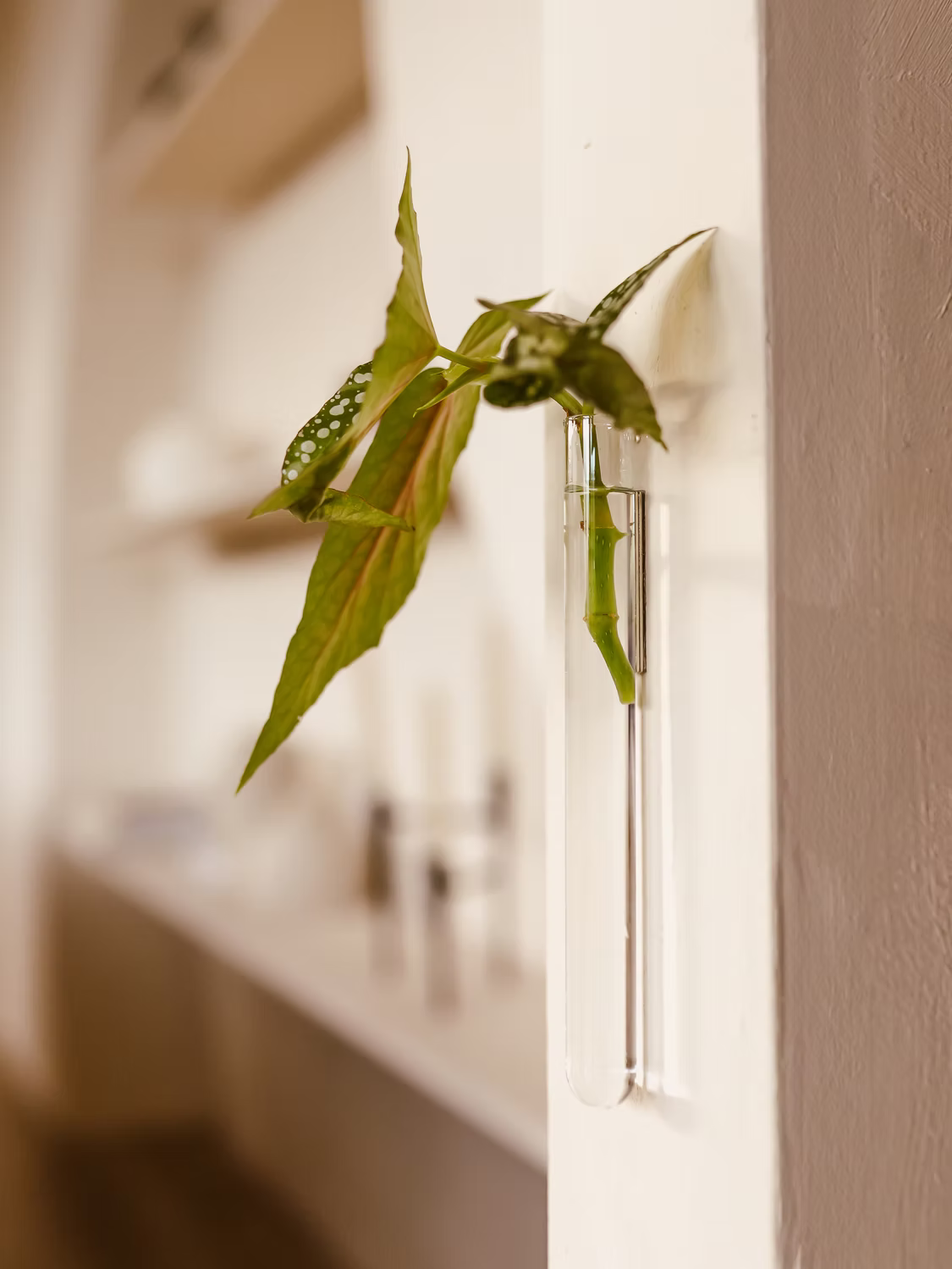 Walleaf Small — Magnetische muurvaasje voor stekjes of bloemen