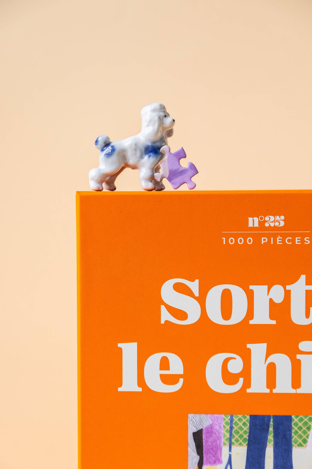 De hond uitlaten
