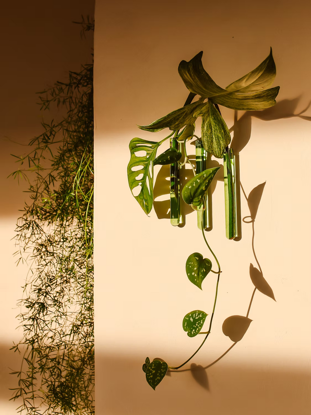 Walleaf Small — Magnetische muurvaasje voor stekjes of bloemen
