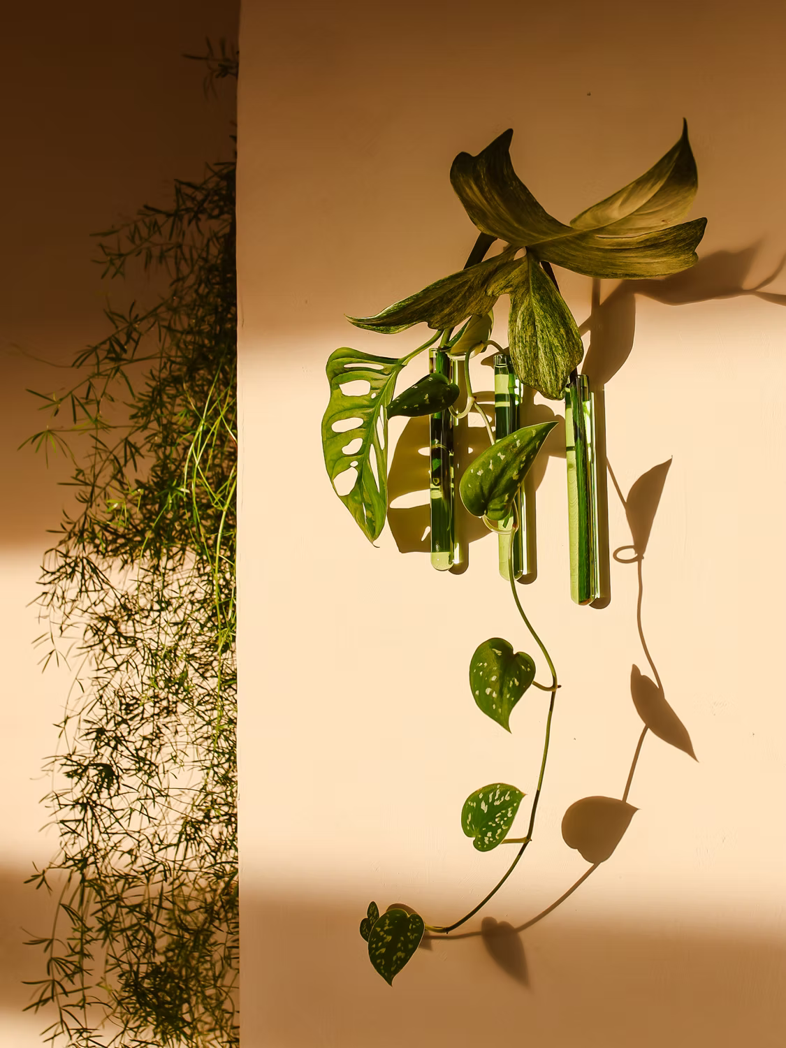 Walleaf Small — Magnetische muurvaasje voor stekjes of bloemen