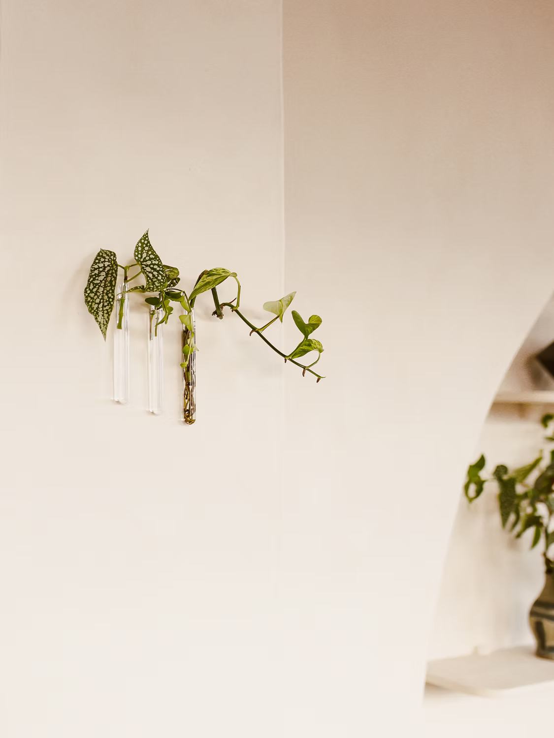 Walleaf Small — Magnetische muurvaasje voor stekjes of bloemen