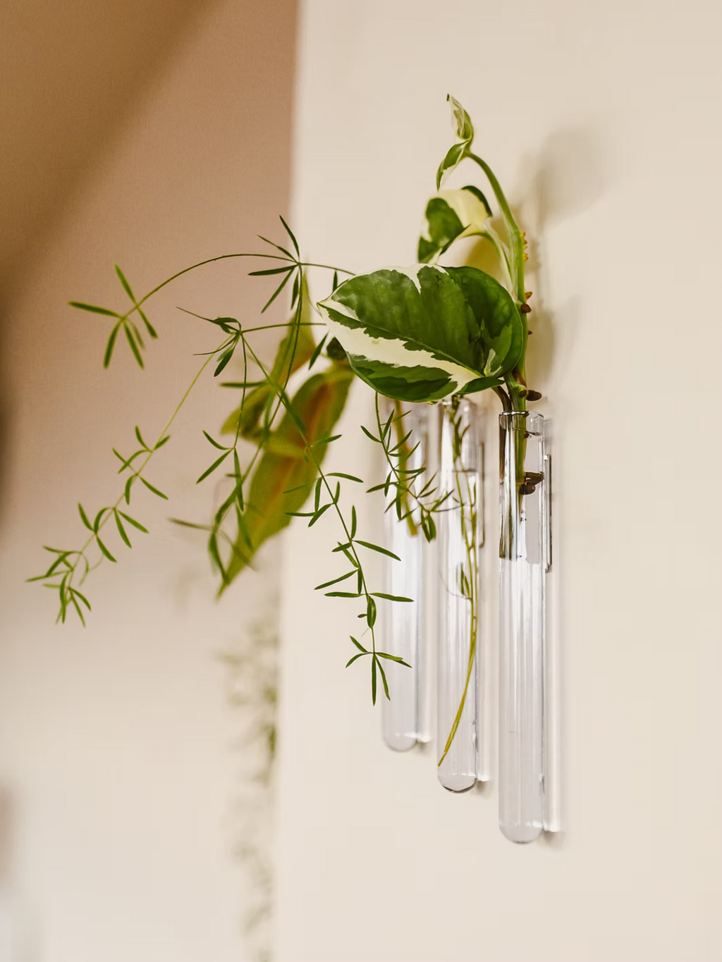 Walleaf Small — Magnetische muurvaasje voor stekjes of bloemen