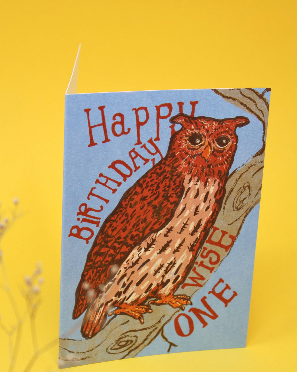Happy Birthday Wise One verjaardagskaart, vooraanzicht
