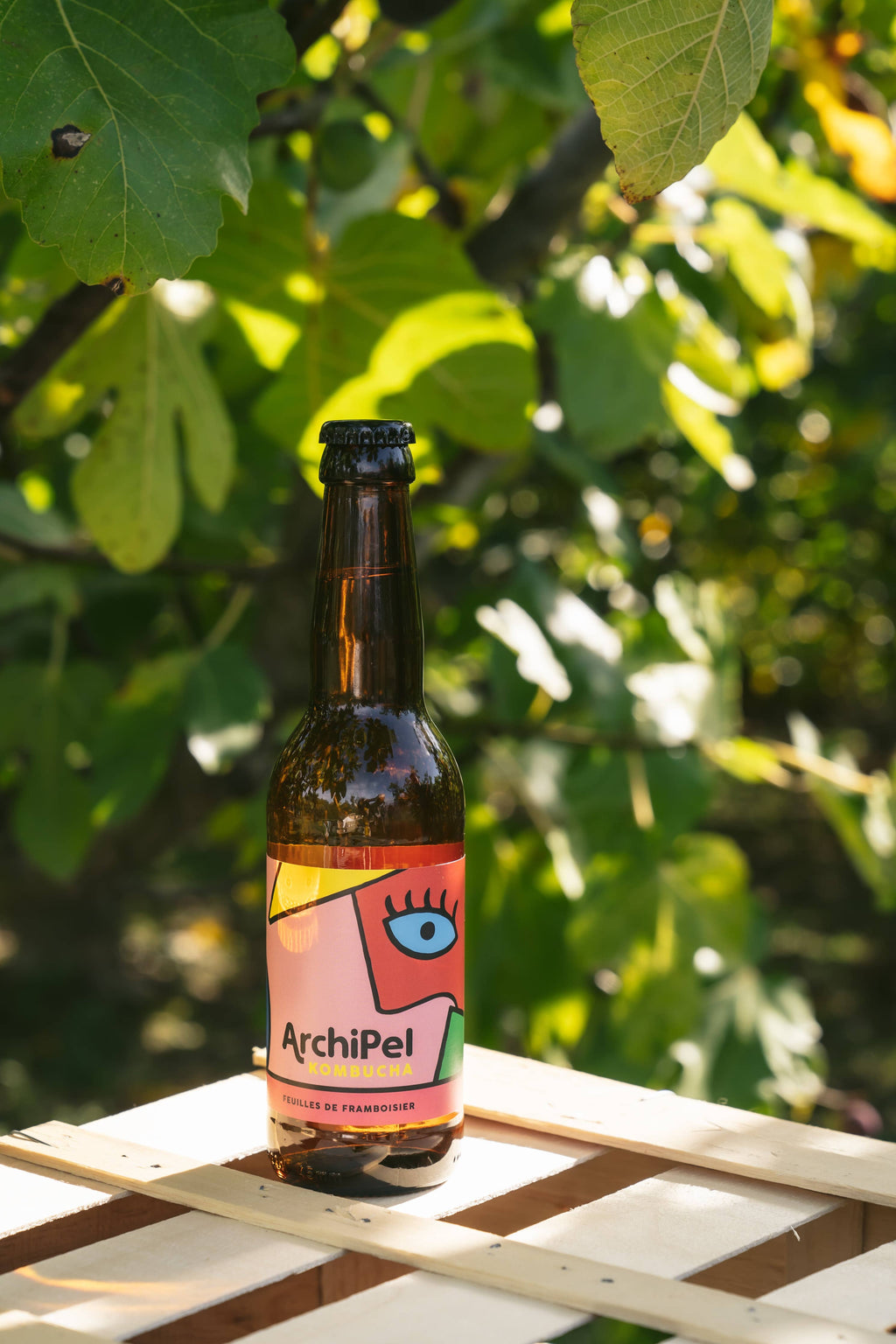 Flesje biologische kombucha met frambozenblad, 33 cl