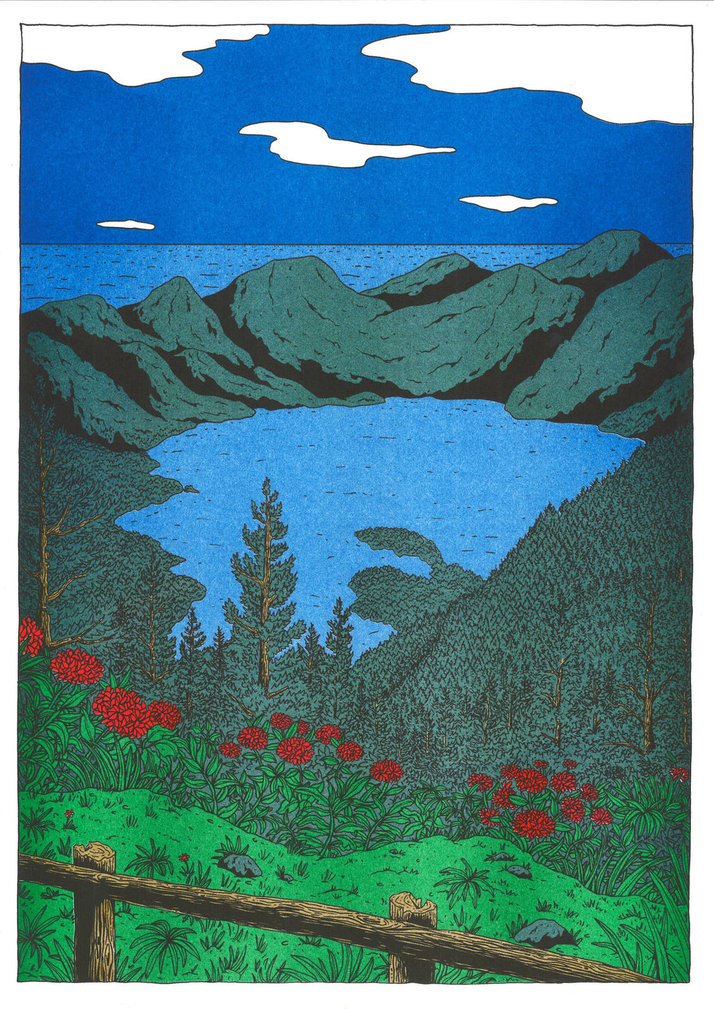 A3 poster 'Nowhere in Portugal', detail van de risografiedruk