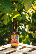 Flesje biologische kombucha met clementineblaadjes, 33 cl