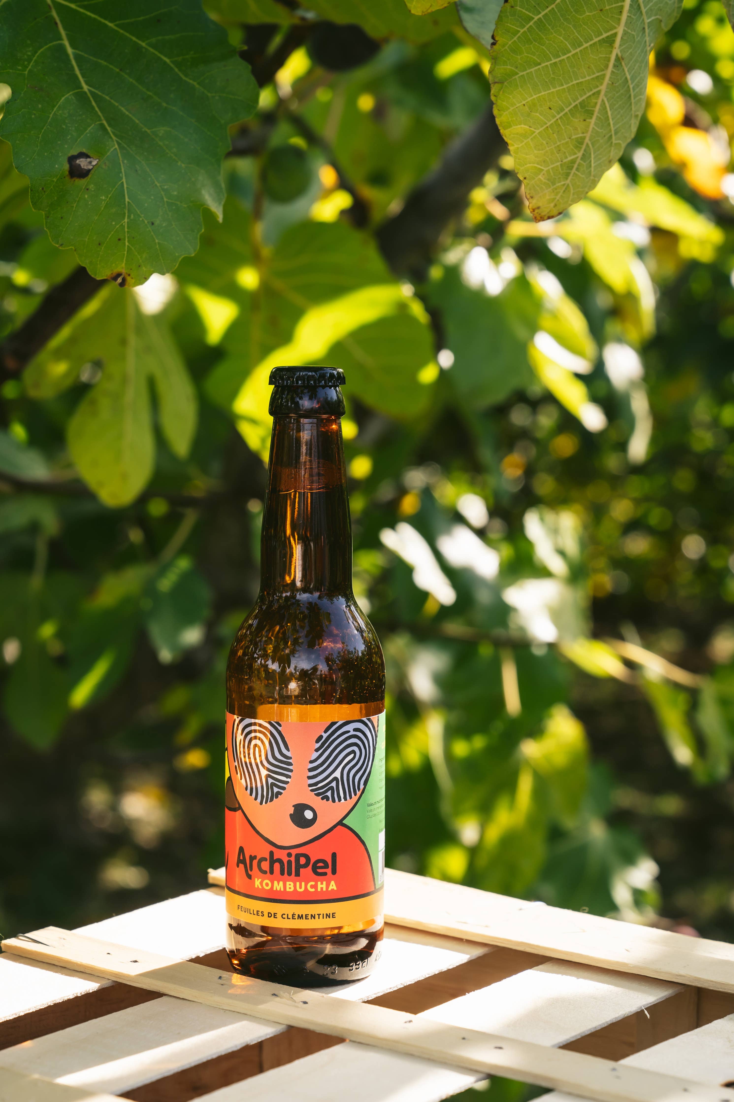 Flesje biologische kombucha met clementineblaadjes, 33 cl