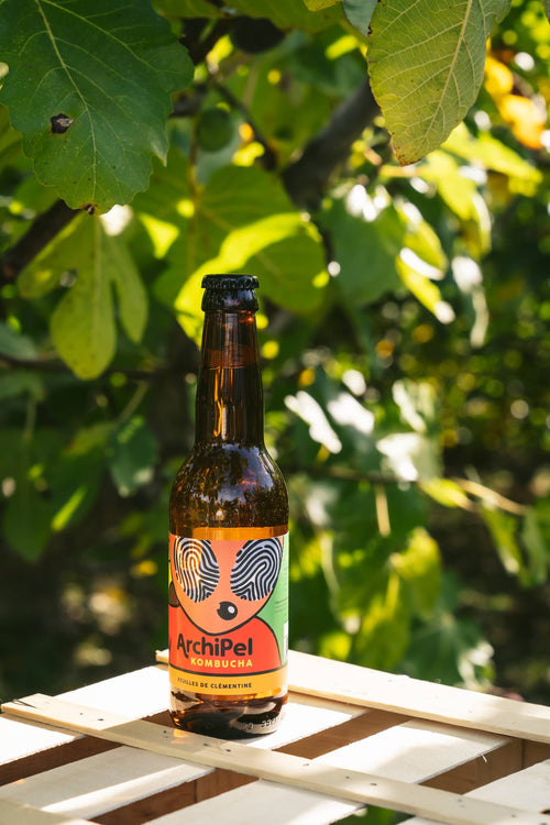 Flesje biologische kombucha met clementineblaadjes, 33 cl