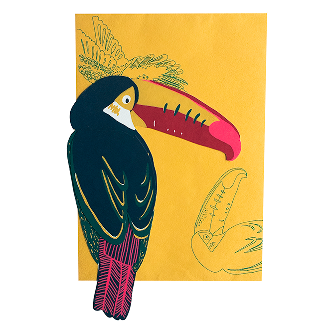 Toucan greeting card