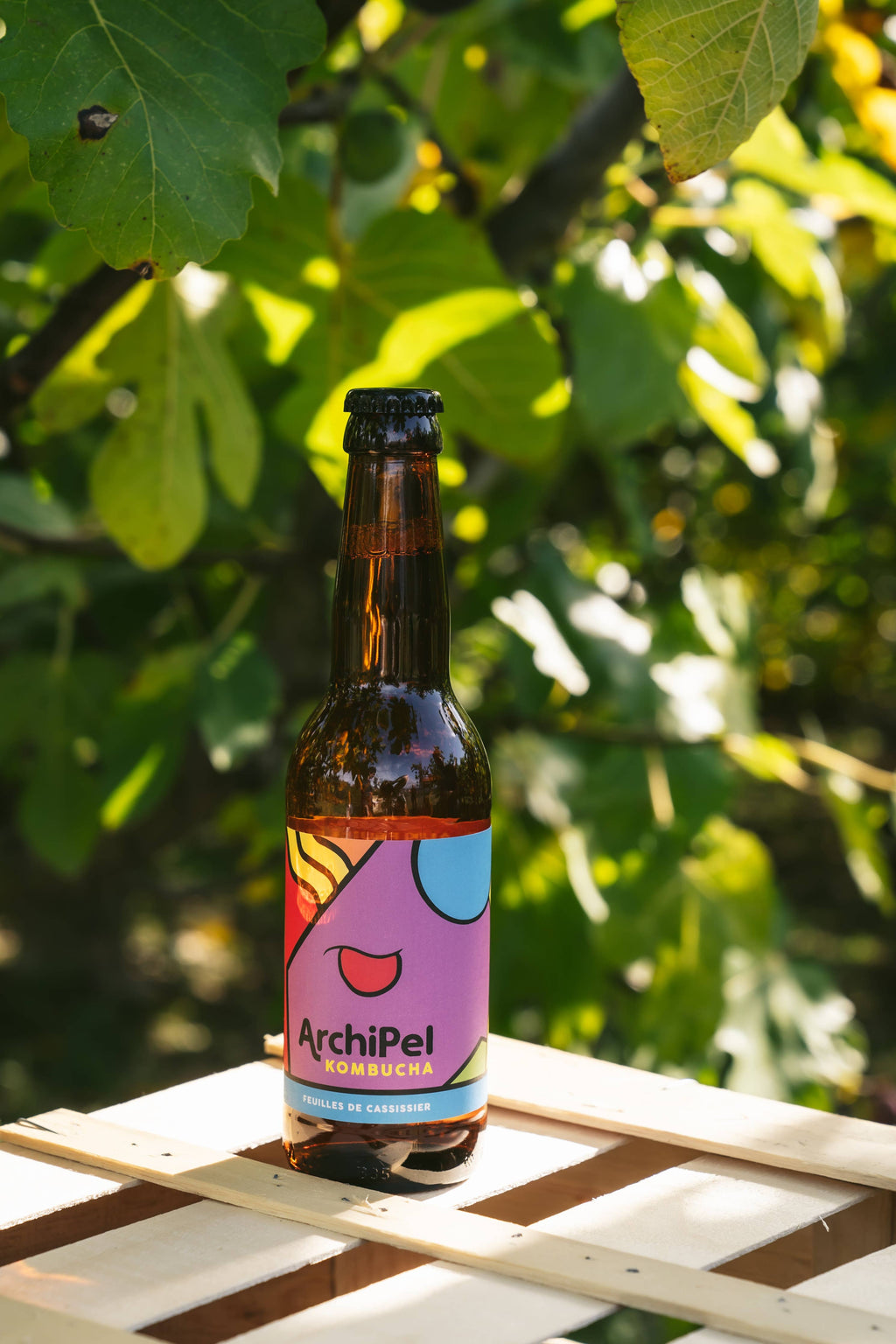 Flesje biologische kombucha met zwartebessenbladeren, 33 cl