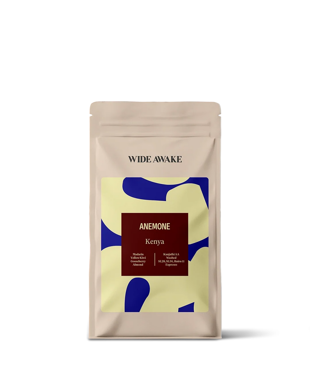 Zak Anemone van Wide Awake (officiële foto)