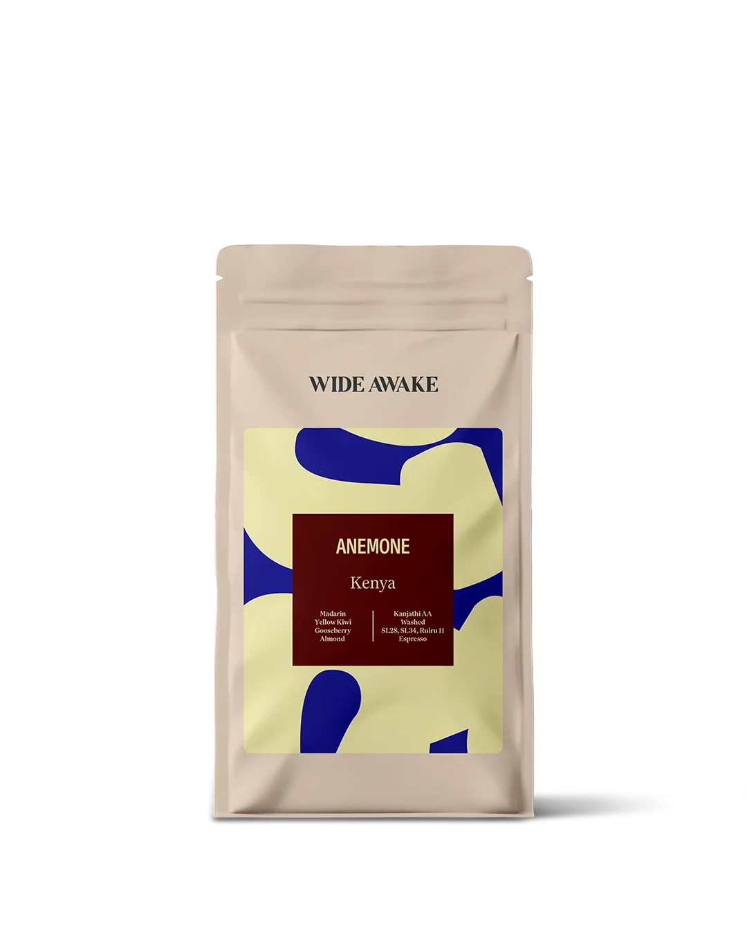 Zak Anemone van Wide Awake (officiële foto)