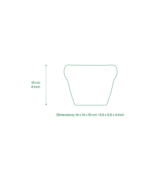 Small Planter 'LOUIS'