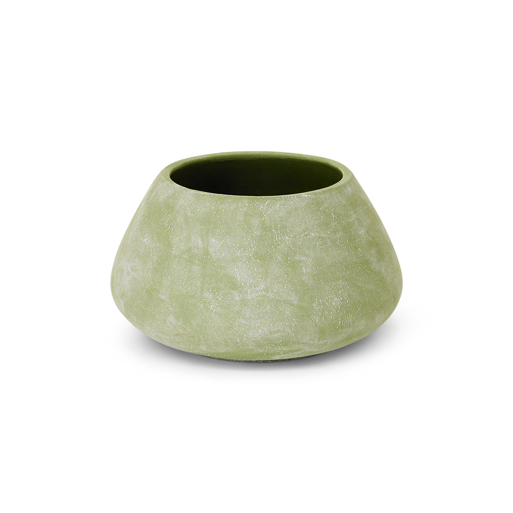 Dolly Kaki