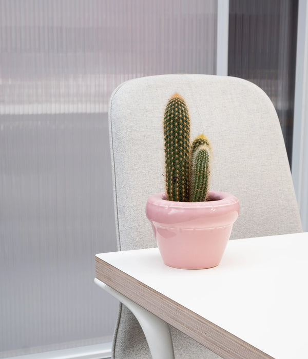 Small Planter 'LOUIS'