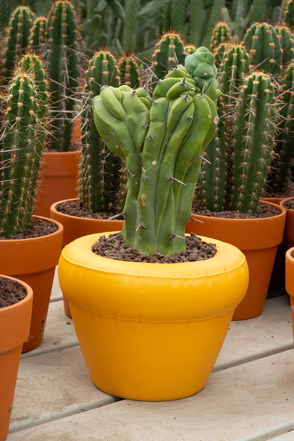 Bloempot 'PIERRE'
