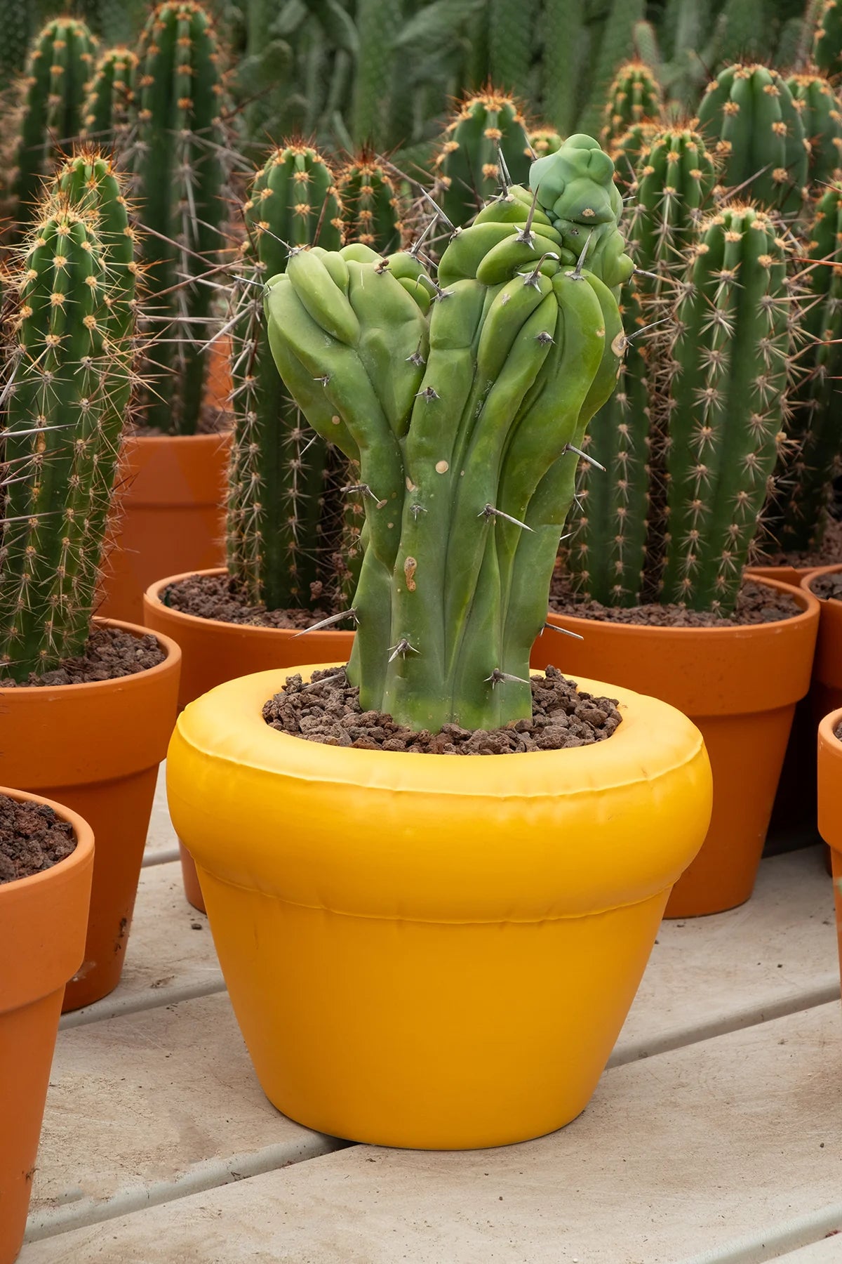 Bloempot 'PIERRE'