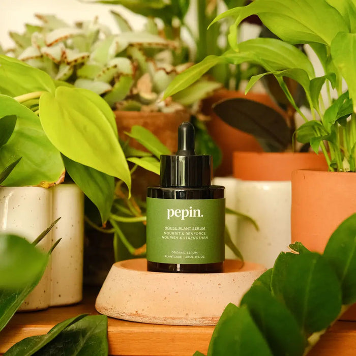 Houseplant Serum-Stera