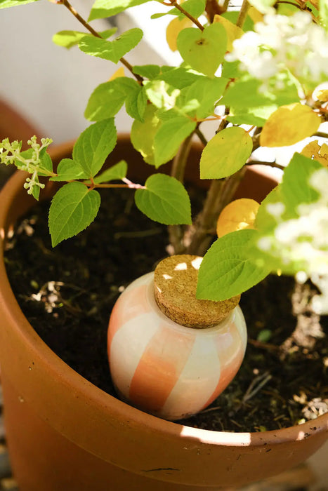 Olla - Orange and cream striped-Stera