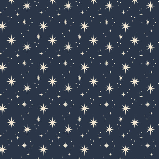 Star Gazer | Starry Modern-Retro gerecycled cadeaupapier-Stera