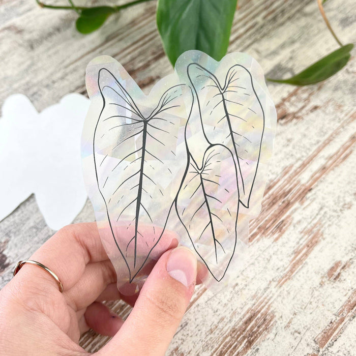 Sun Catcher Sticker - Philodendron, Tropical Botanical Plant-Stera