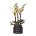 Witte phalaenopsis orchidee & Bubble pot black-Stera