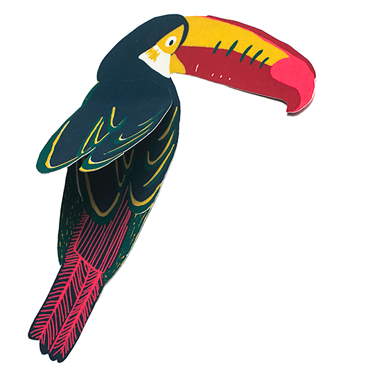 Toucan greeting card