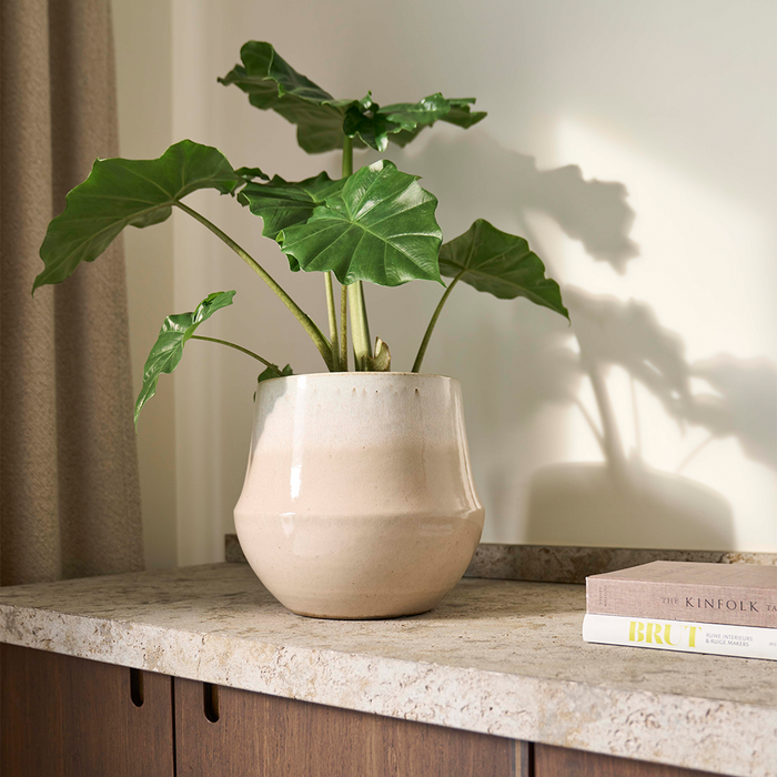 Fusion nude pot - keramische bloempot | Stera