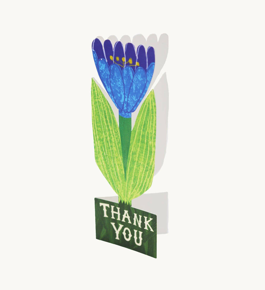 Dank je Tulip