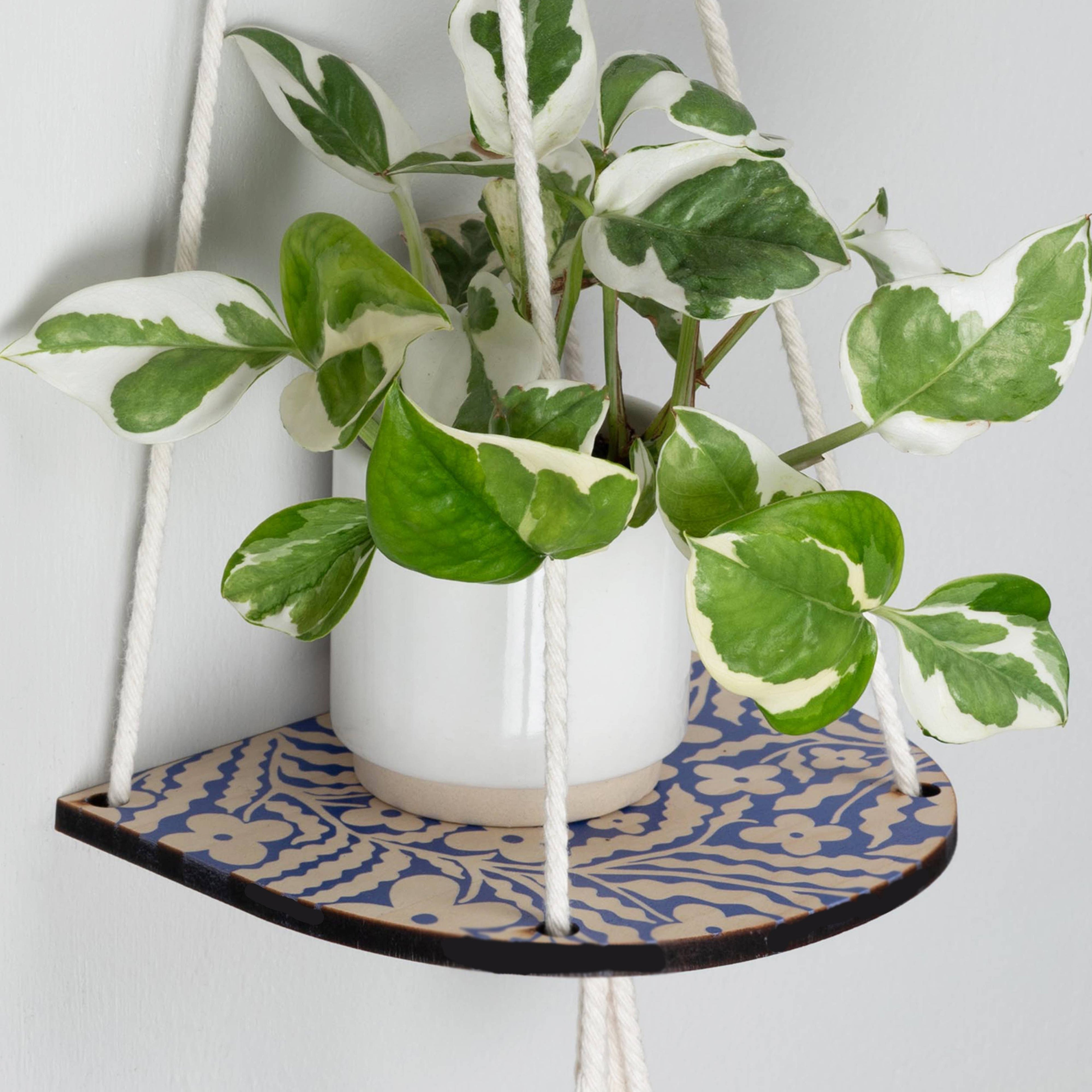 Verpakking van de kleine plantenplank Blauwe primula van Studio Wald