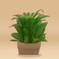 Clusia rosea 'Princess' — studio sample v2 (AI) beige style — voor review