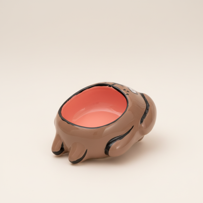 DOG Bowl foto 3