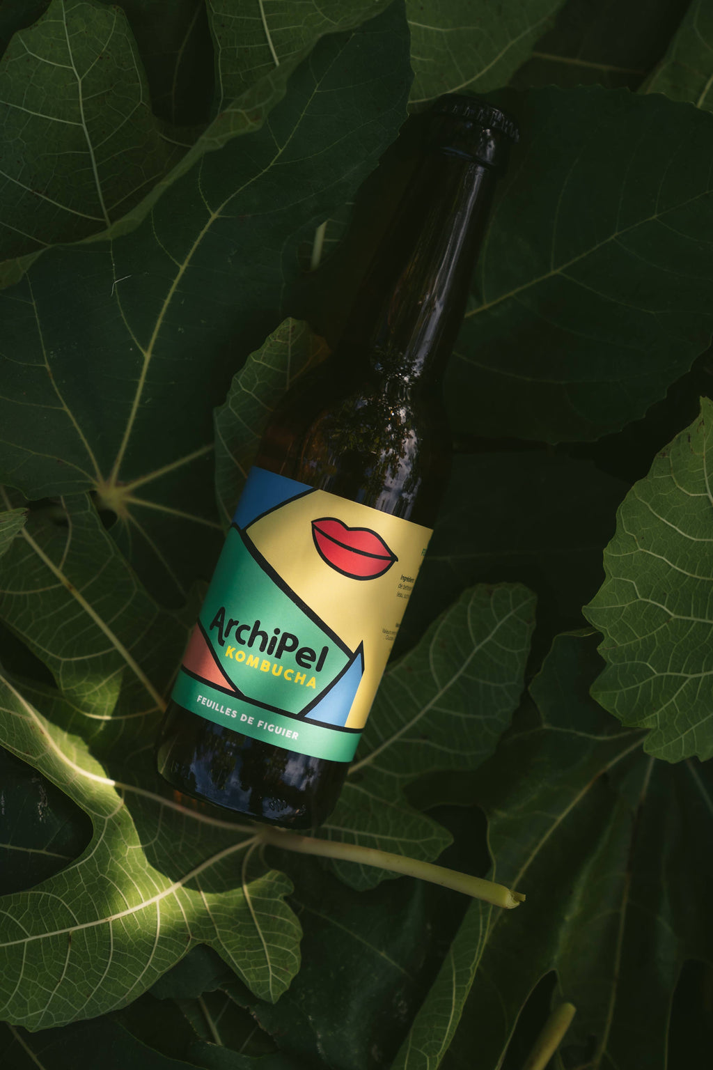 Detail van kombucha met exotische vijgenbladinfusie