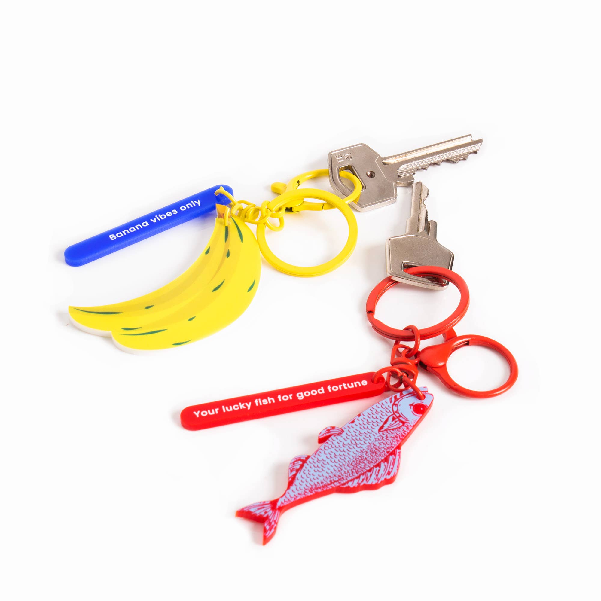 Kleurrijke Vissen sleutelhanger van acryl, detailweergave