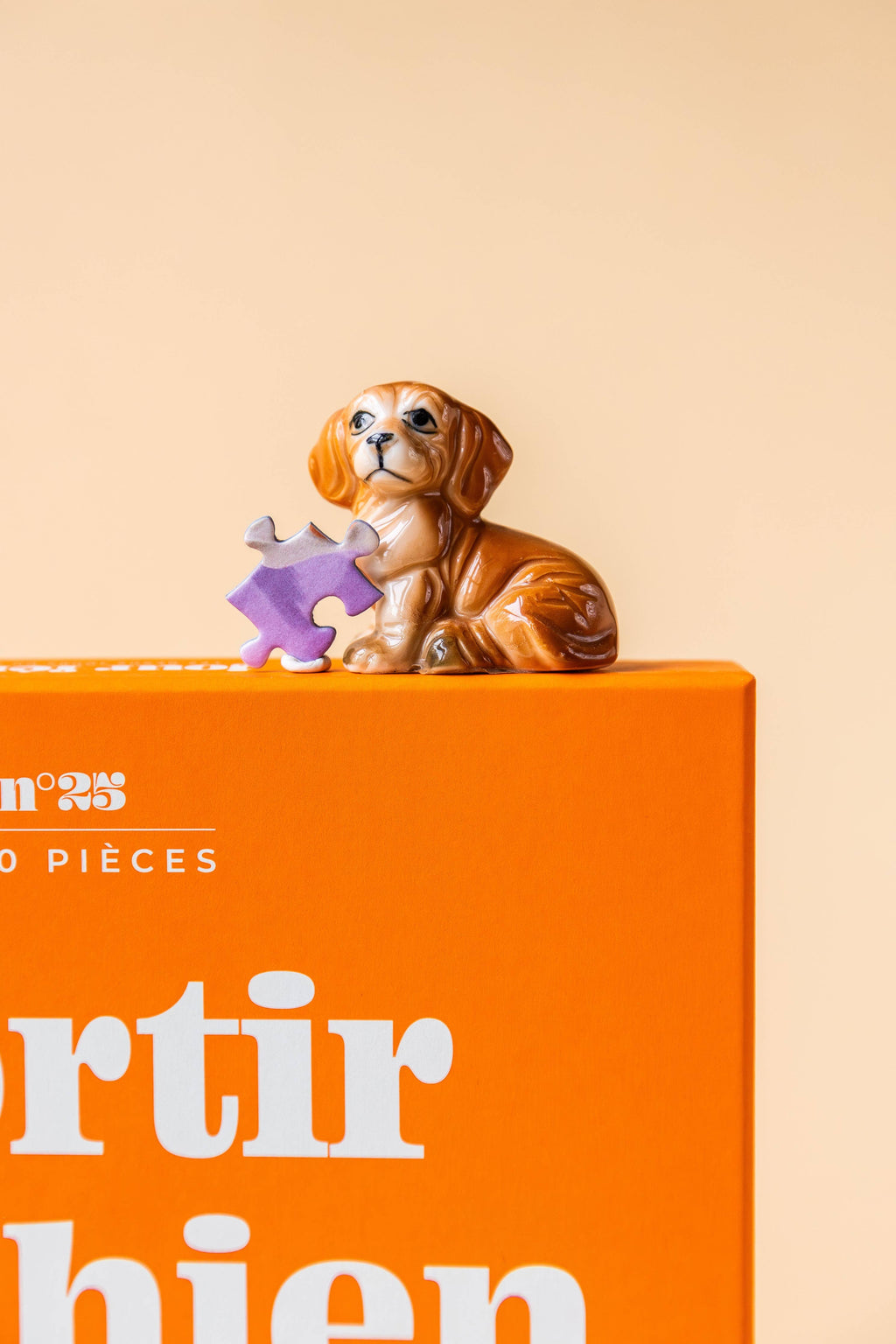 De hond uitlaten