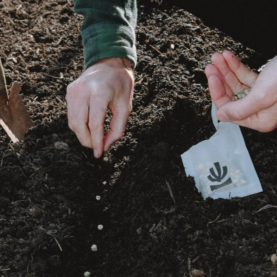 Mijn eerste moestuin - Zadenset