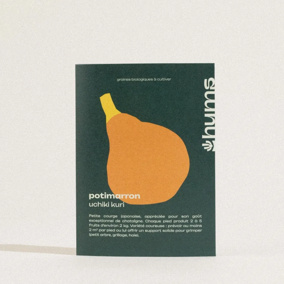 Pompoen Uchiki Kuri
