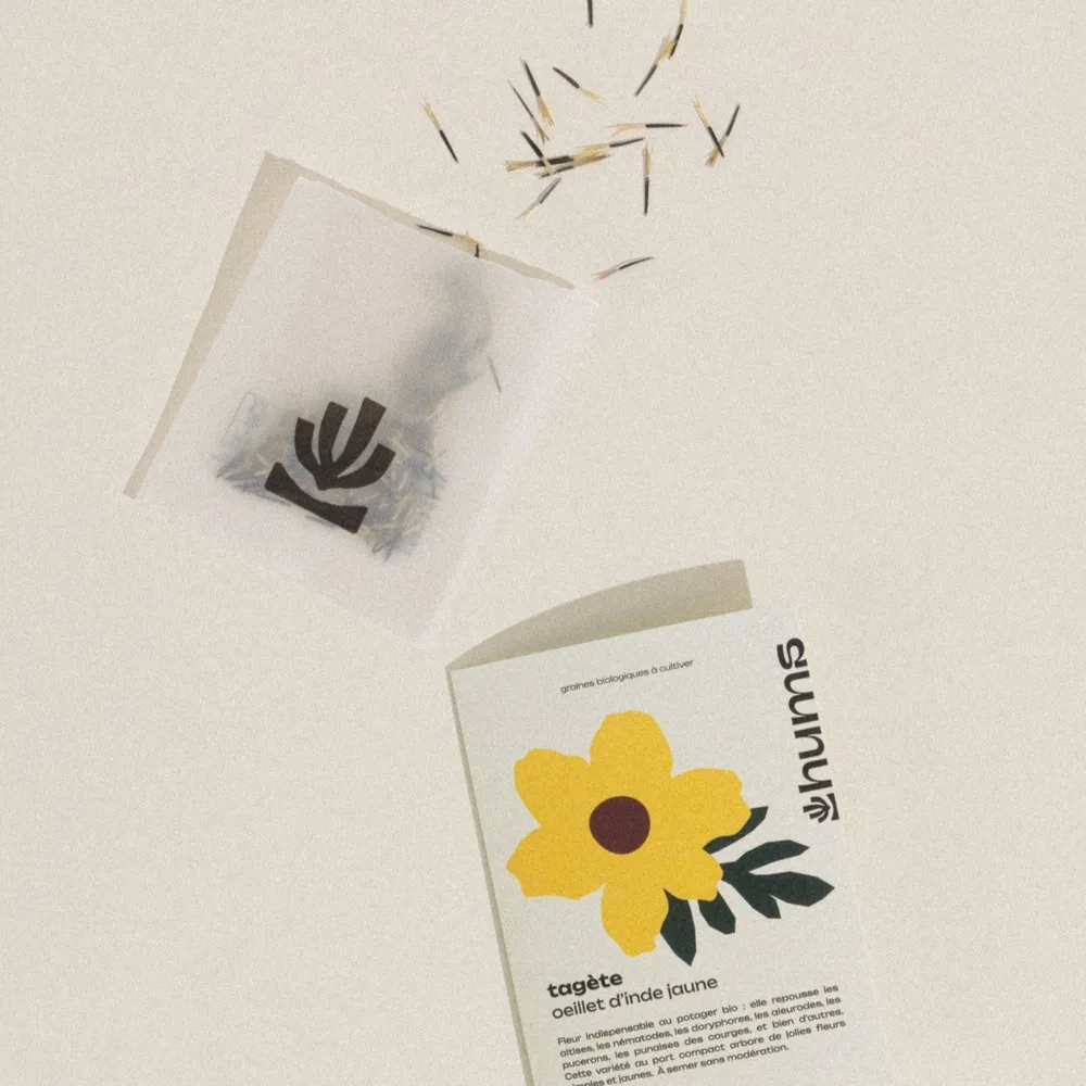 Afrikaantje met gele bloemen