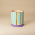 Sara mint met oranje strepen 10 cm | catalogusfoto