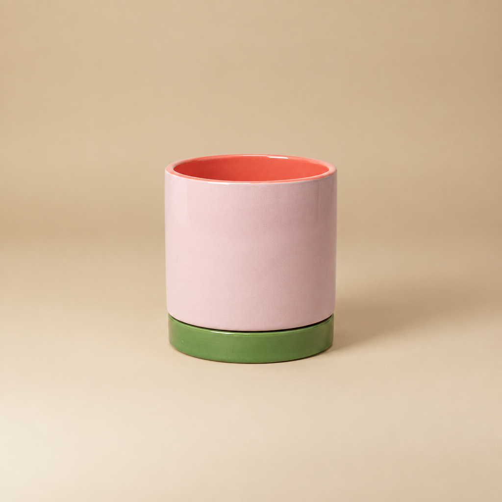 Jeroom paars/groen/roze 15 cm | catalogusfoto