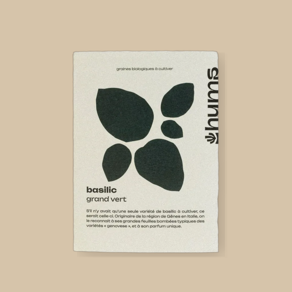 Grote groene basilicum | catalogusfoto