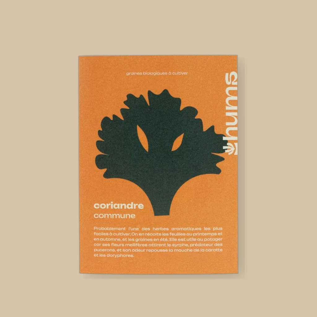 Gewone koriander | catalogusfoto