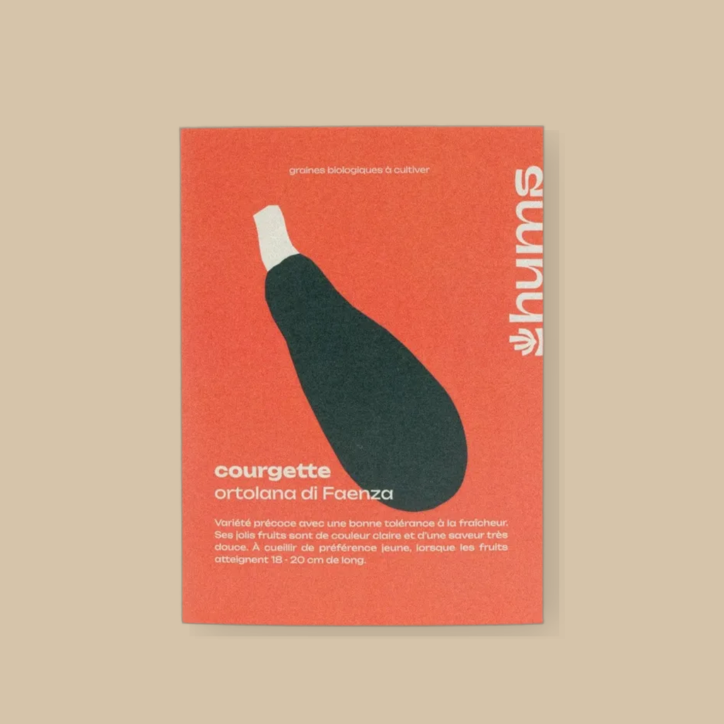 Courgette Ortolana di Faenza | catalogusfoto