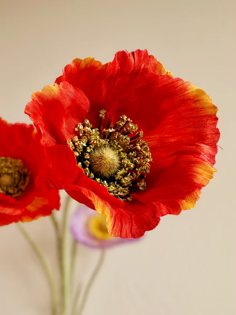 Walleaf Silk Flowers — Kunstige zijde bloemen